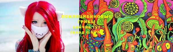 СК Володарск